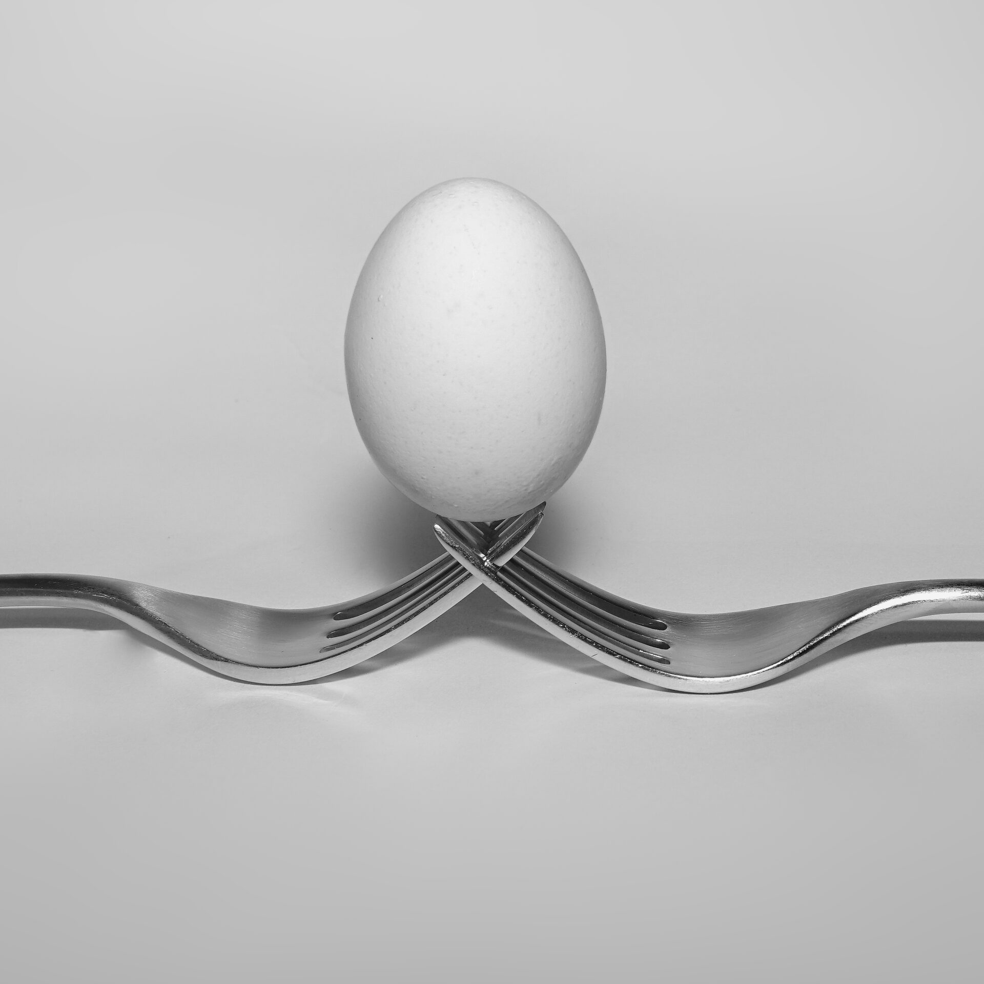 An Egg Between Two Metal Forks