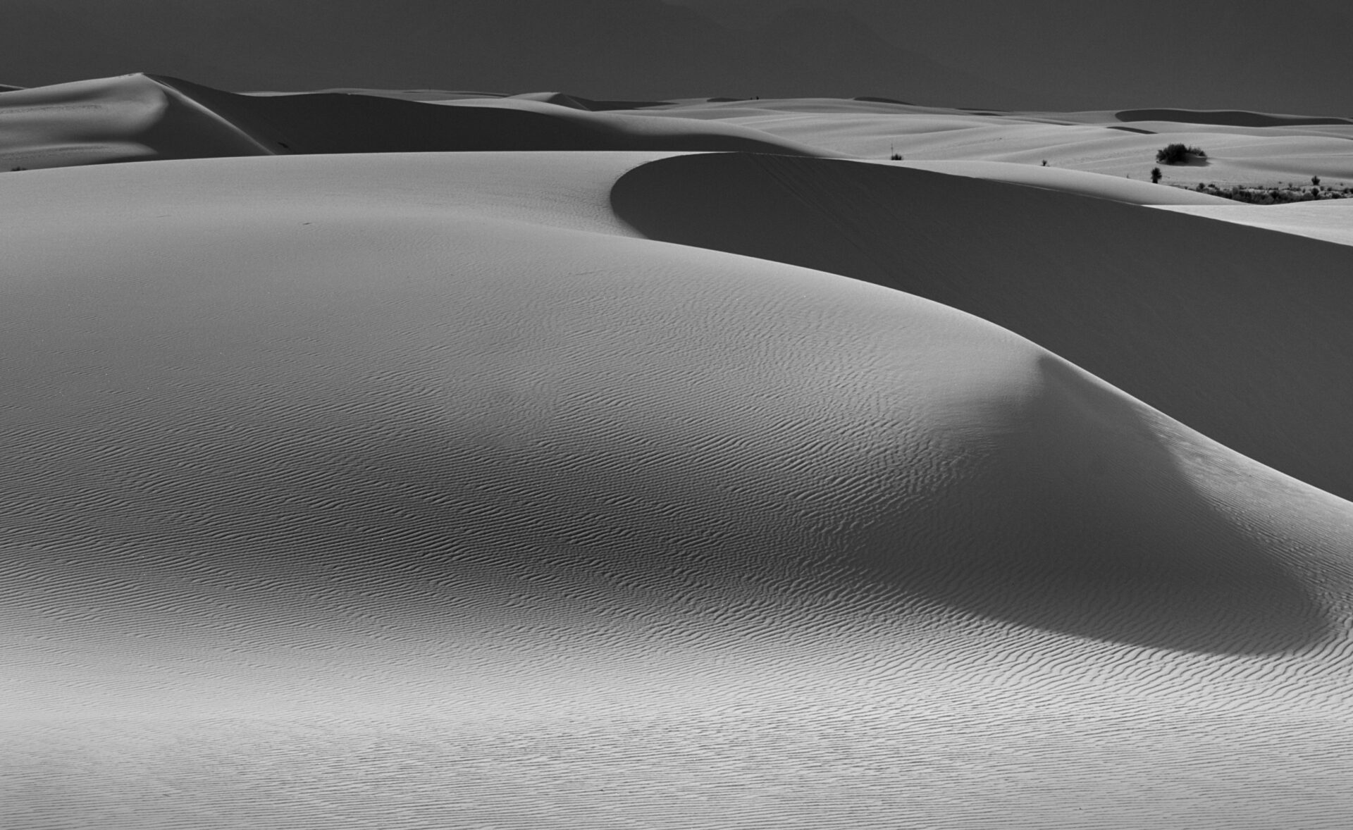 A White Sand Dune Area Image in Black and White