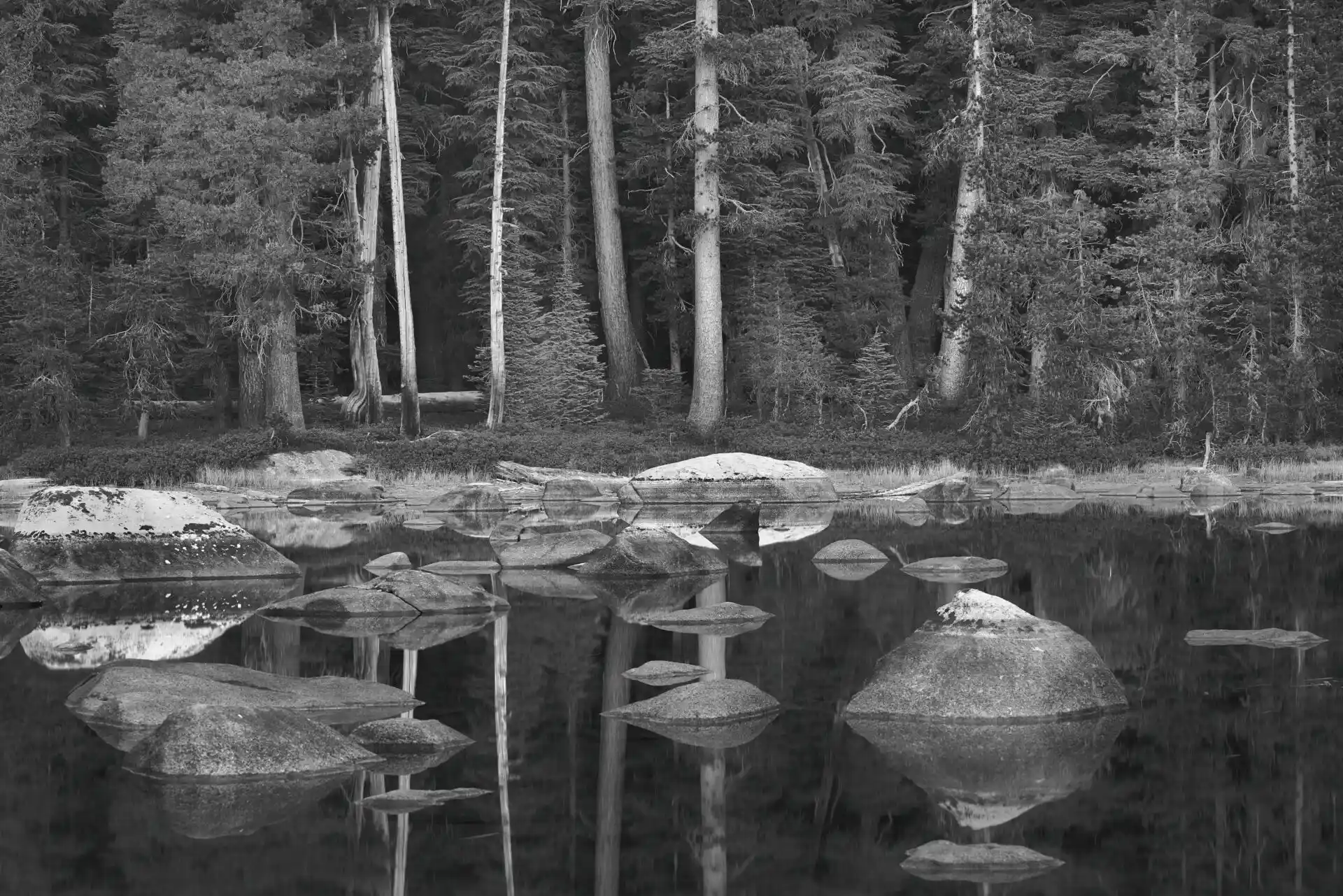 Weston Lake Shot in Black and White Tones